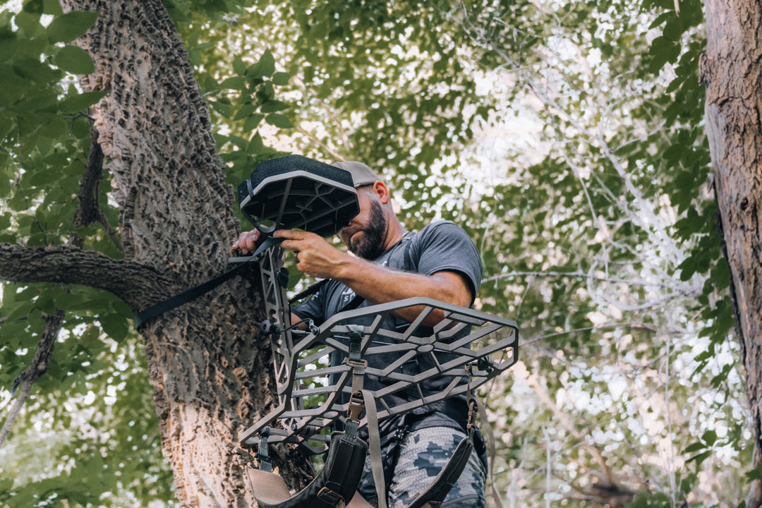 Hang and Hunt for Whitetail Deer