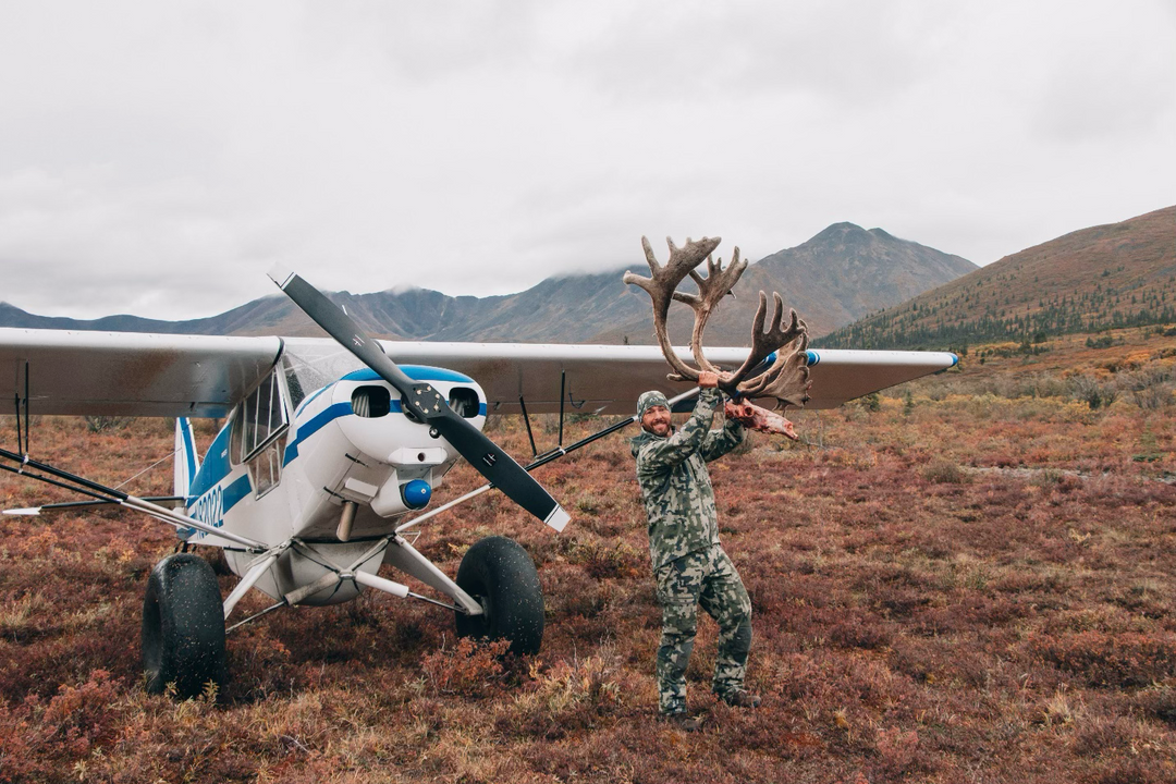 Alaska Caribou 2017
