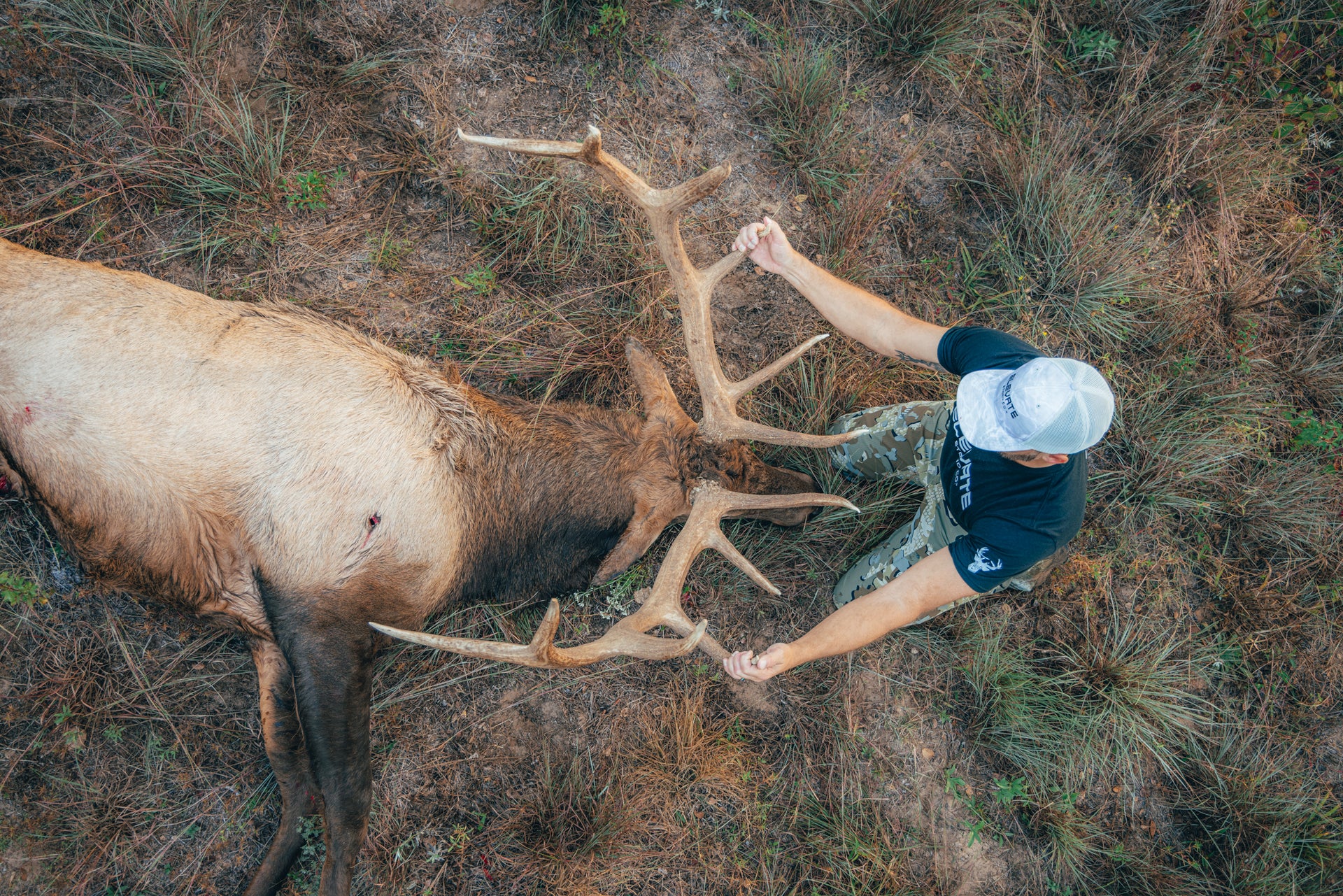 Tree Hang On Stands Elevate Stand Co. Climbing Sticks EBikes