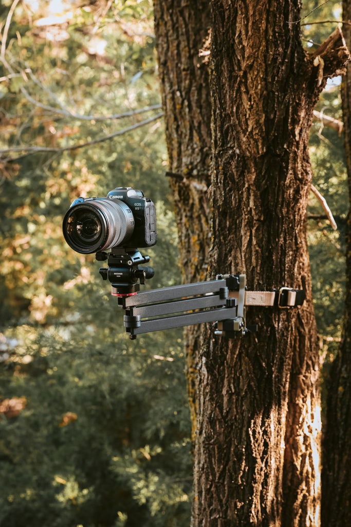 Product1_51031c4e-97ce-437d-