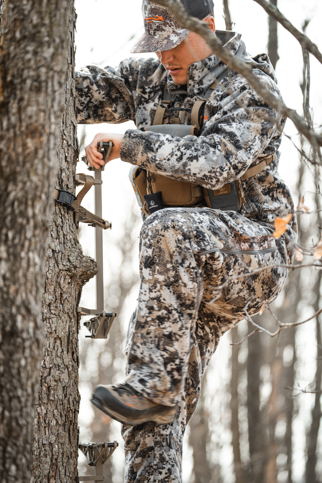 Ascend Climbing Sticks