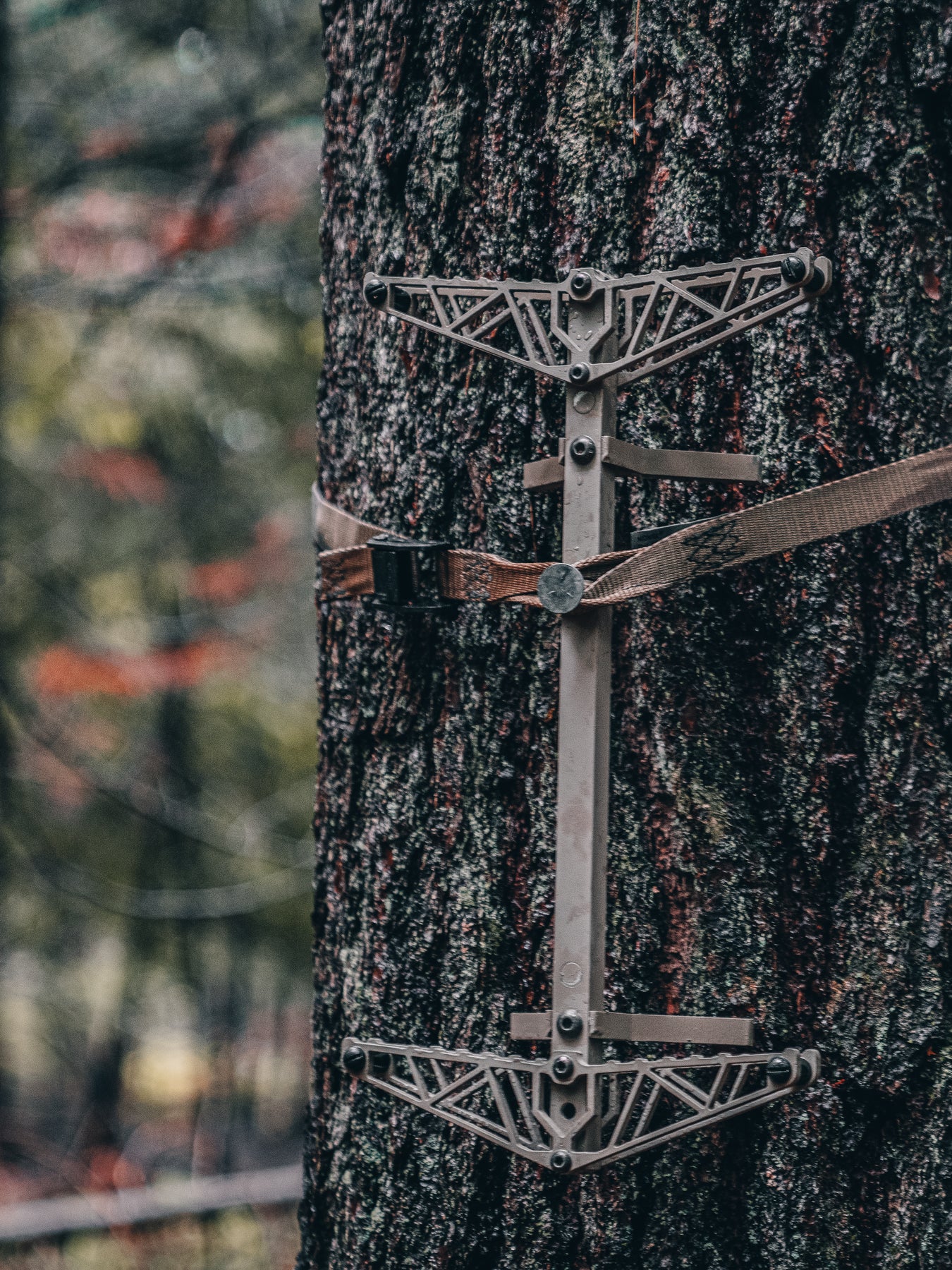 ELEVATE STAND CO. | TREE HANG ON STANDS | LIGHTWEIGHT HUNTING GEAR ...